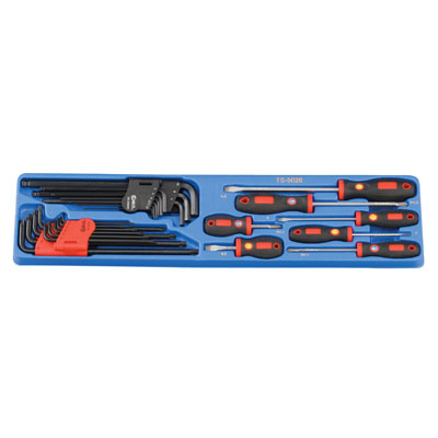 csavarhz,kszlet,csillagfej,philips,ph,laposfej,egyeneshorny,csavarhz kszlet,L-kulcs kszlet,imbuszkulcs,gmbvg,lyukas t-torx,Genius Tools
